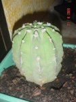DSC01613.JPG