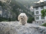 SUIZA 06_025.JPG