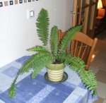 foto3.JPG