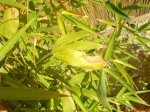 DSC00123.JPG