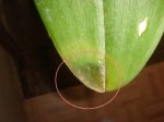 Dsc01903.jpg