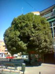 DSC00190.JPG