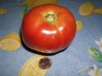 Reajustado_DSCF0654.jpg