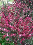 000_1628.JPG