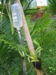 KOH_SAMUI_5112.JPG
