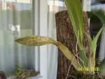 100_0841.JPG