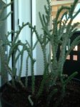 Dscf0133.jpg