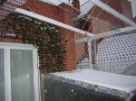 invernadero_2.JPG