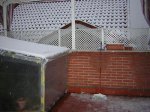 invernadero_1.JPG