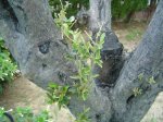 DSC00103.JPG