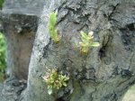 DSC00106.JPG