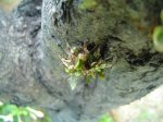 DSC00109.JPG