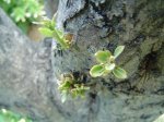 DSC00110.JPG