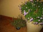 IMG_0033.JPG