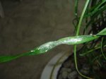 Picture 122.jpg