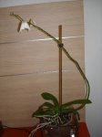 Imagen 015.jpg
