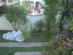 DSCN3606.JPG