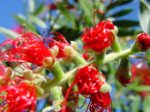 DSC07538c.jpg
