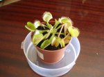 p8300757wx5.jpg