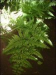Dsc02030.jpg