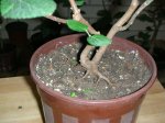 Imagen 035.jpg