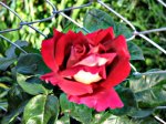 Kronenburg_abierta-oct_-06.jpg
