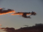 el_perro_de_Vega_por_los_cielos.jpg