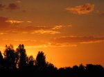 cielo_naranjas_y_ocres6-11-06.jpg
