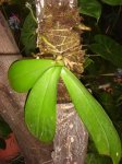 Dsc02092.jpg