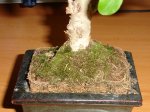 DSC00358.JPG
