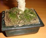 DSC00359.JPG