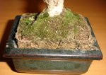 DSC00360.JPG