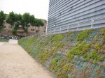 100-0042_IMG.jpg