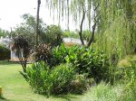 IMG_0749.jpg