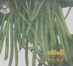 AIDENT03.jpg