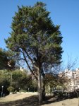 DSC00373.JPG