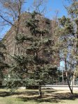 DSC00391.JPG