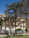 DSC00413.JPG