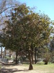 DSC00419.JPG