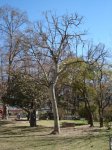 DSC00420.JPG