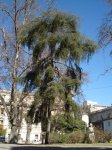 DSC00427.JPG