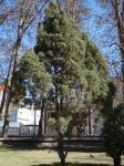 DSC00432.JPG
