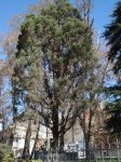 DSC00437.JPG