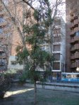 DSC00466.JPG