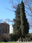 DSC00470.JPG