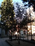 DSC00520.JPG