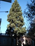 DSC00525.JPG