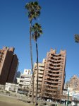 DSC00340.JPG