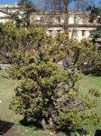 DSC00414.JPG