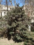 DSC00383.JPG
